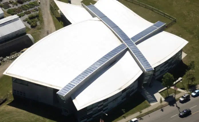 TPO Roofing Membrane