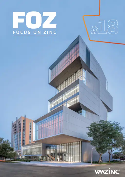Focus On Zinc 18.pdf